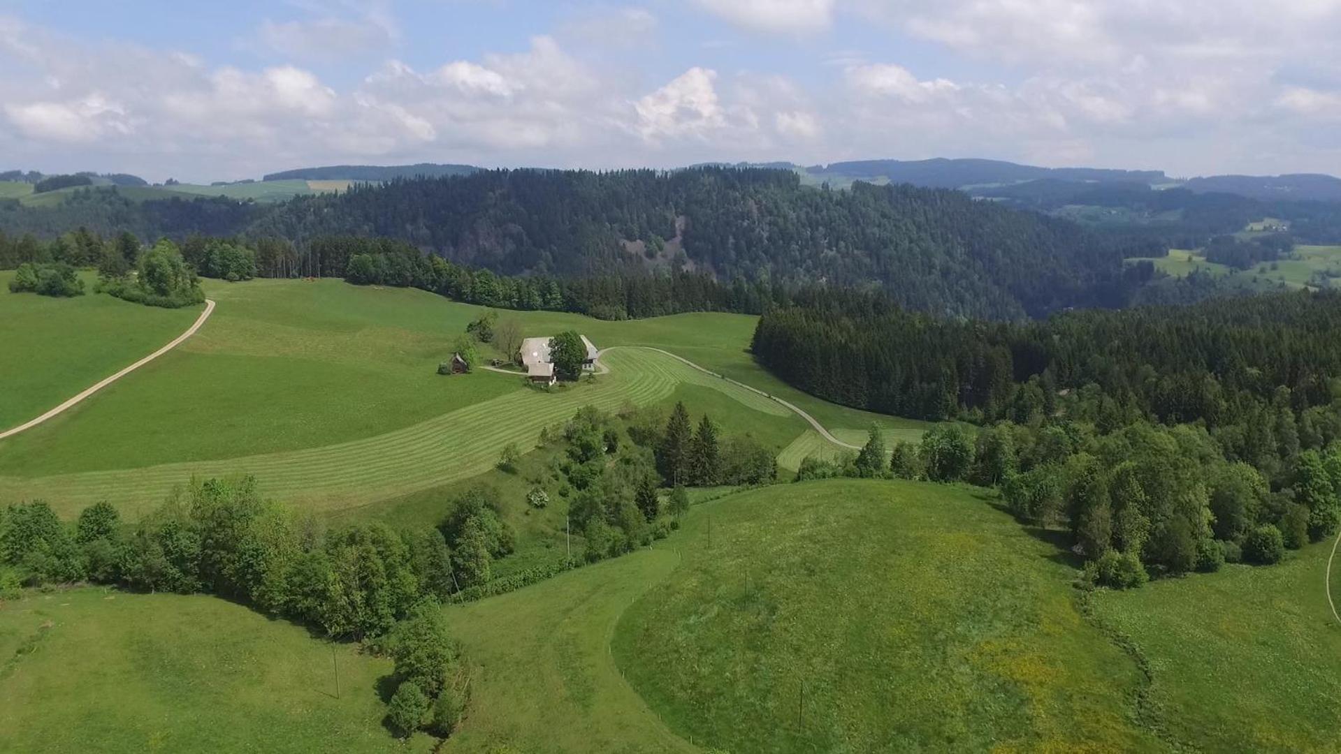 Ferienhaus Esche Hinterzarten Buitenkant foto