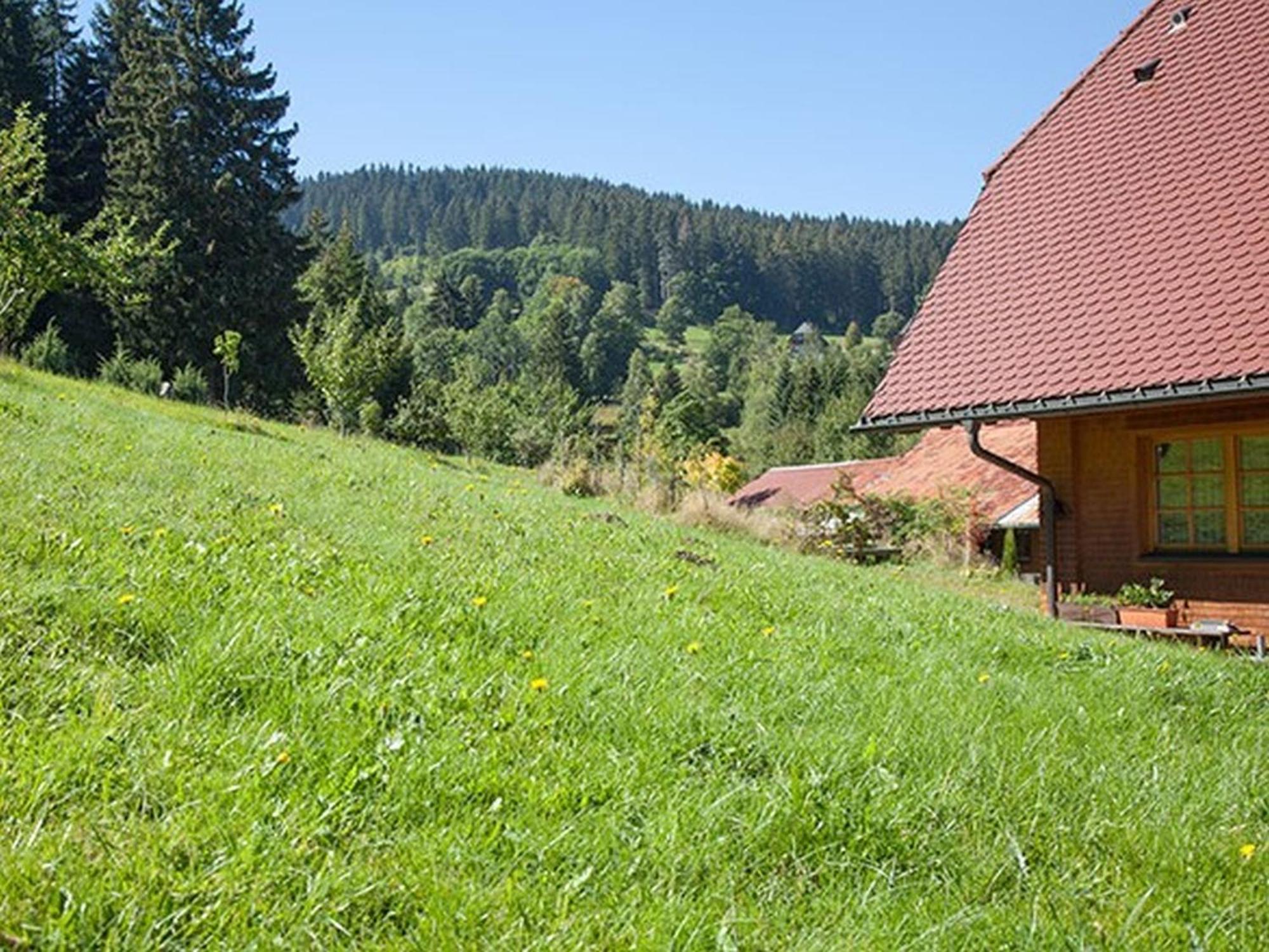 Ferienhaus Esche Hinterzarten Buitenkant foto