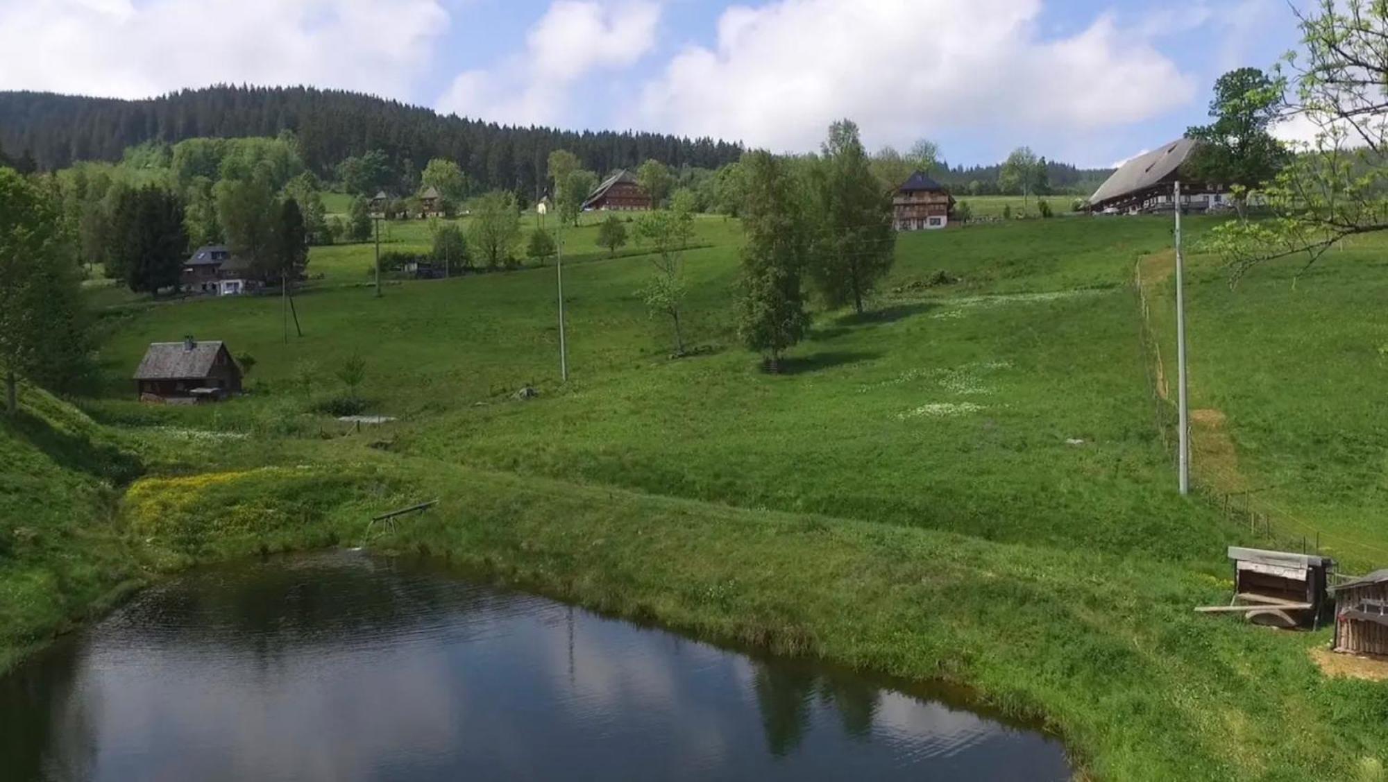 Ferienhaus Esche Hinterzarten Buitenkant foto