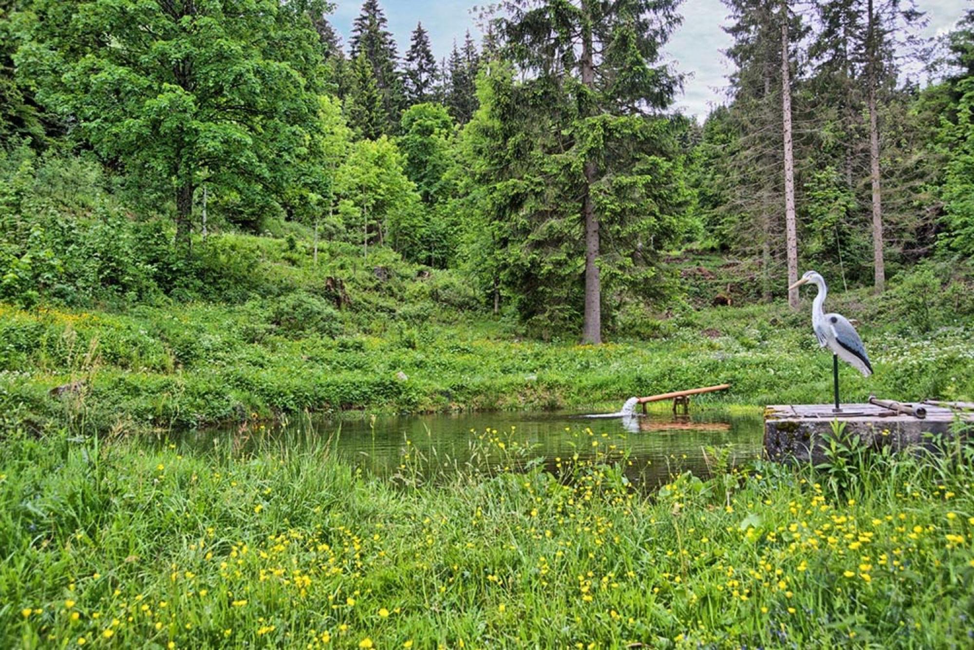 Ferienhaus Esche Hinterzarten Buitenkant foto
