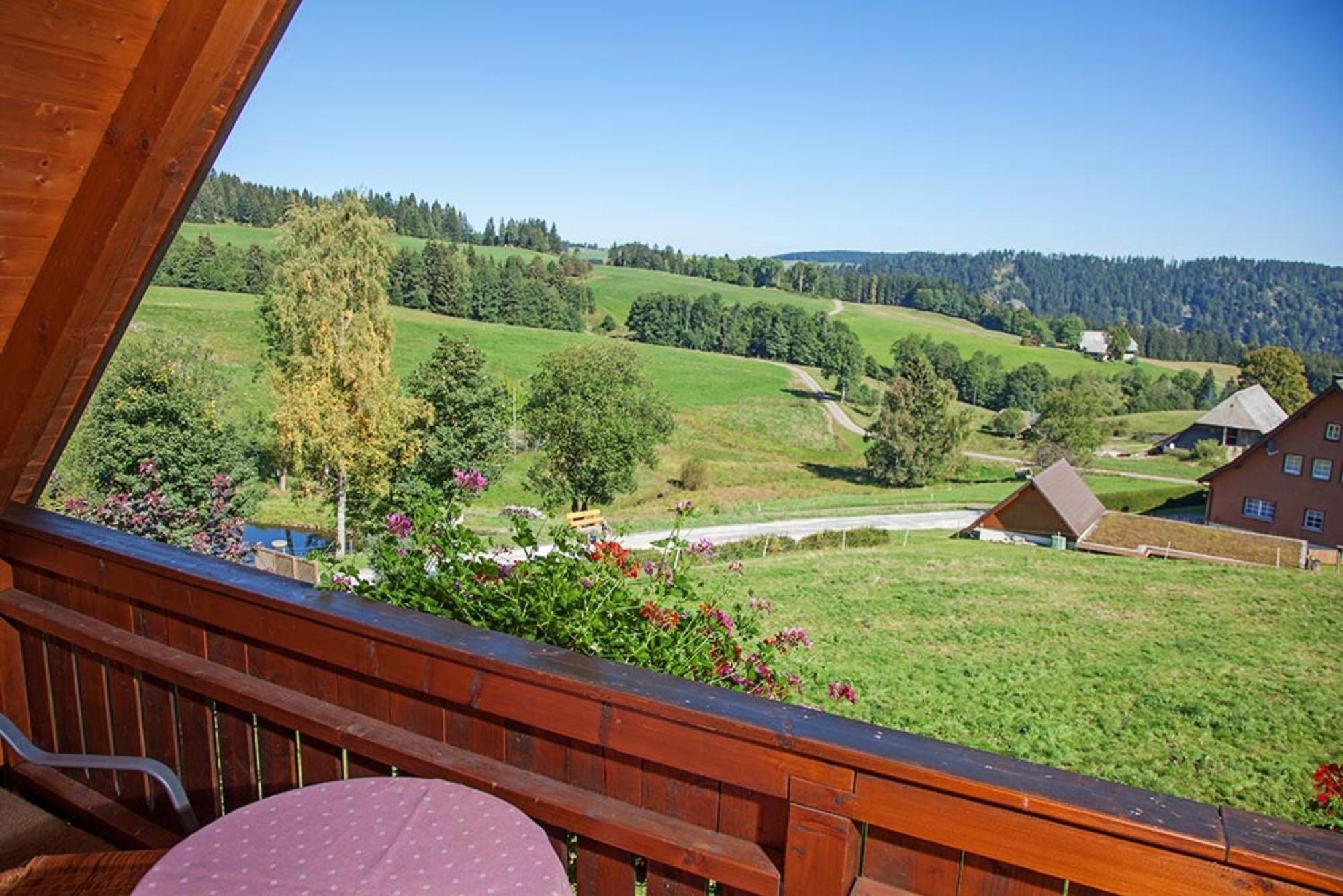 Ferienhaus Esche Hinterzarten Buitenkant foto