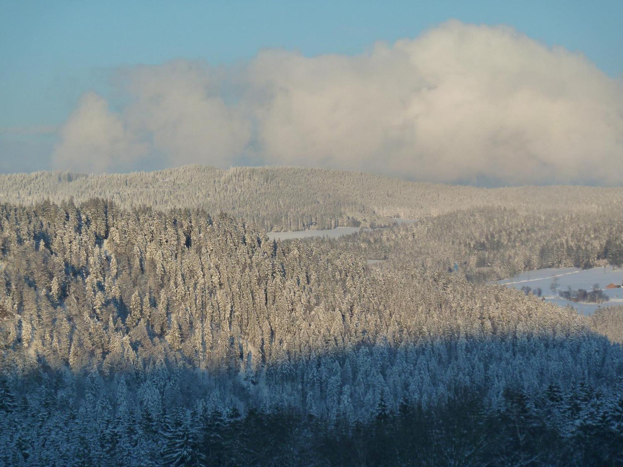 Ferienhaus Esche Hinterzarten Buitenkant foto