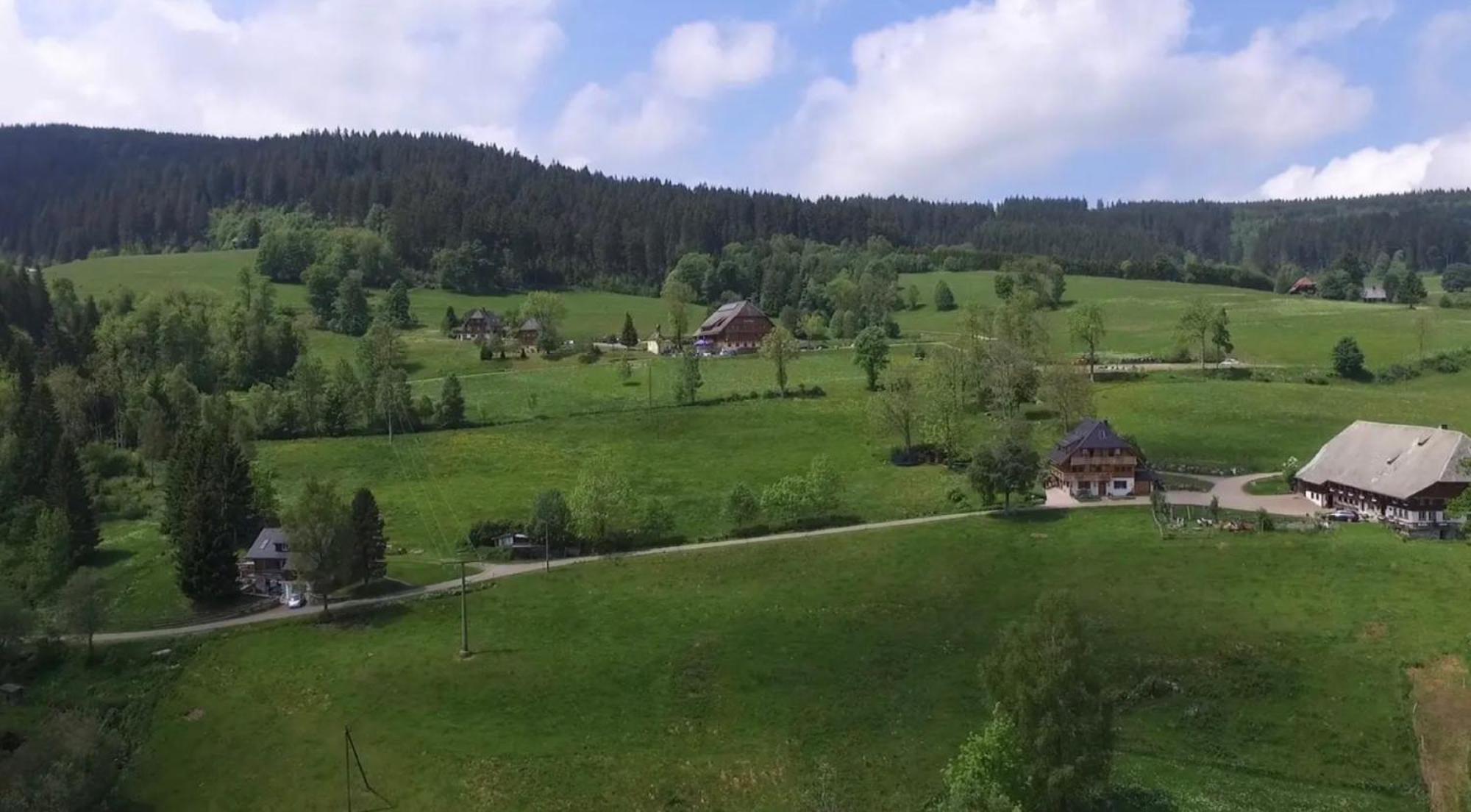 Ferienhaus Esche Hinterzarten Buitenkant foto