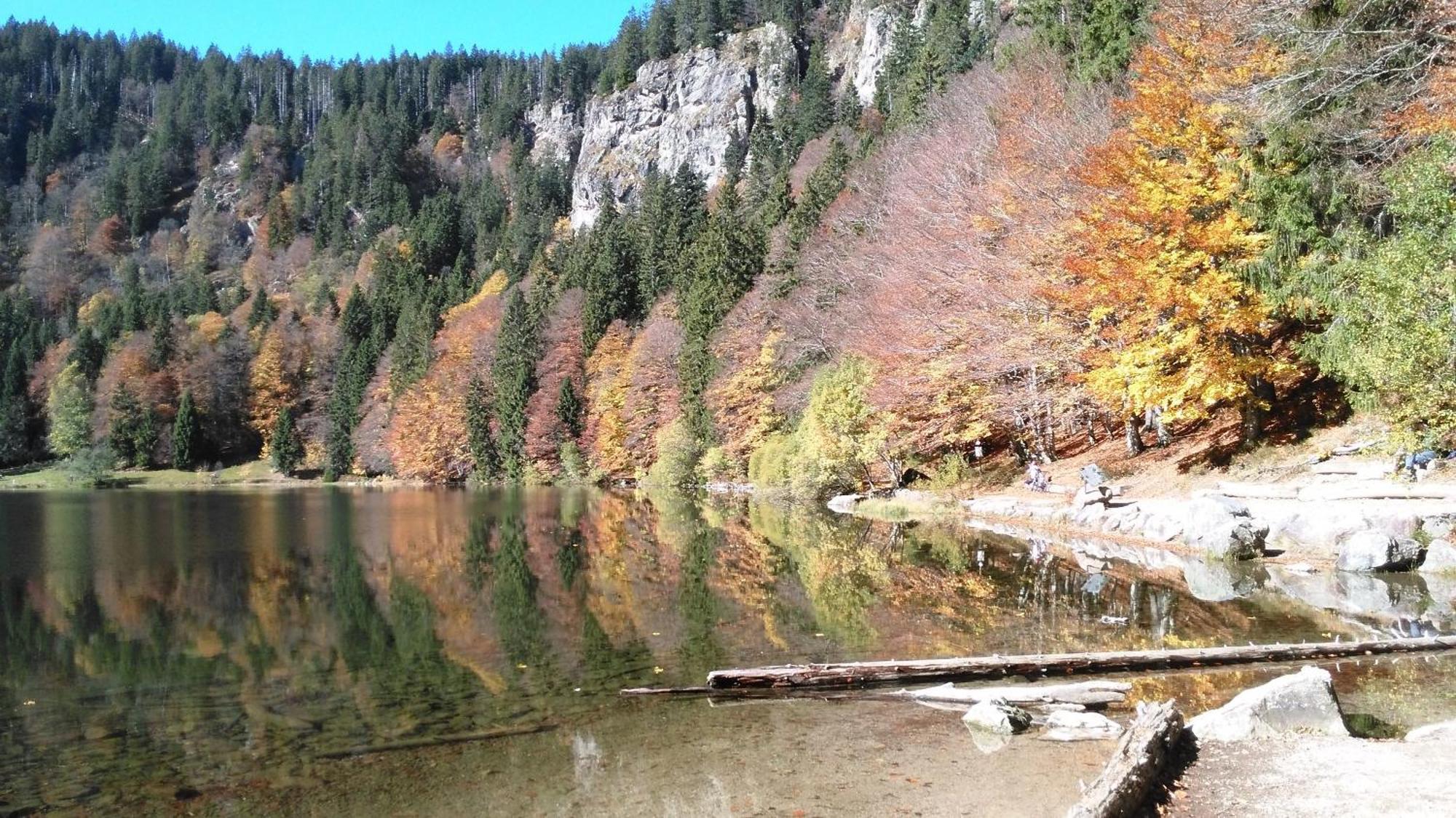Ferienhaus Esche Hinterzarten Buitenkant foto