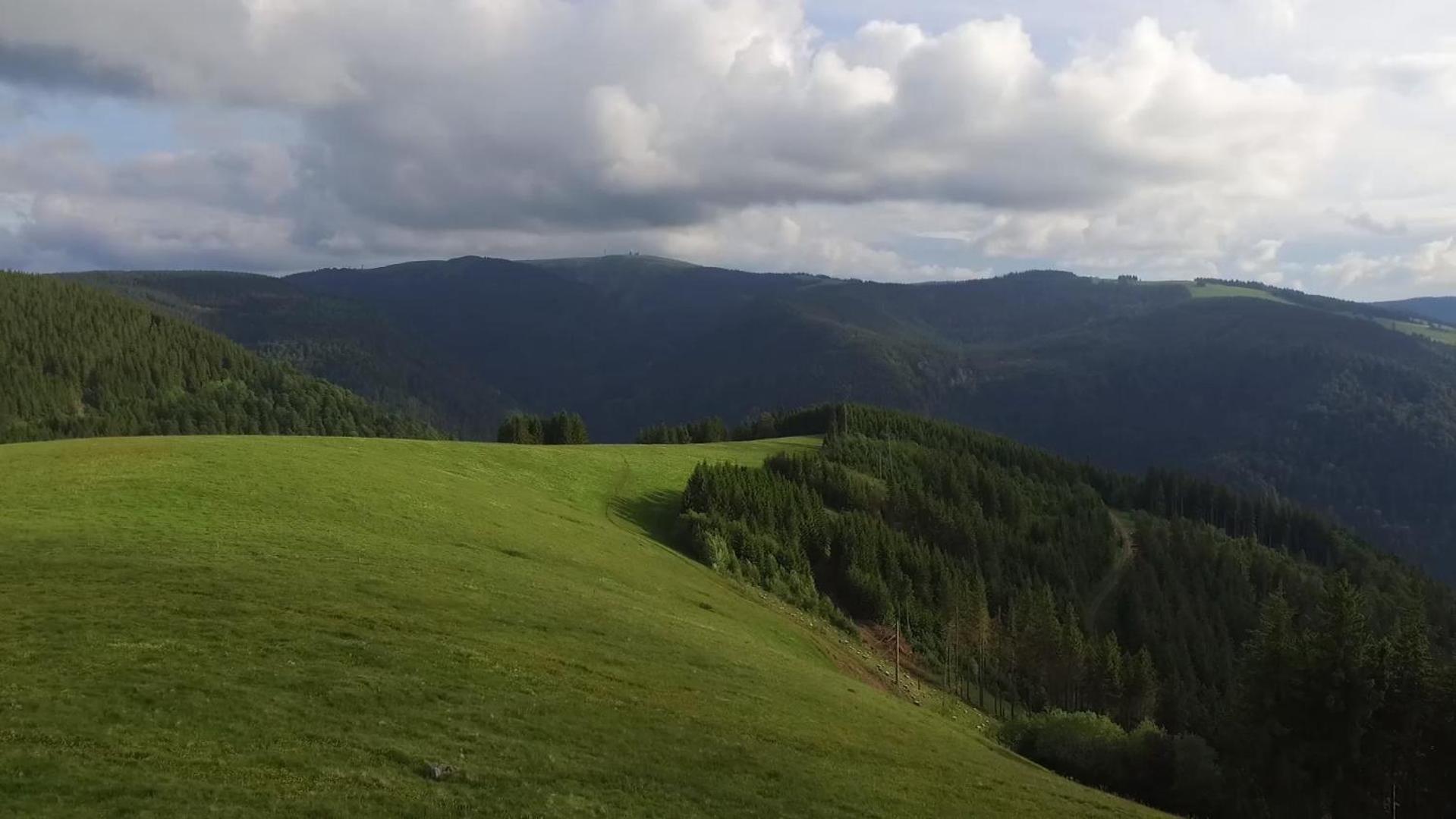 Ferienhaus Esche Hinterzarten Buitenkant foto