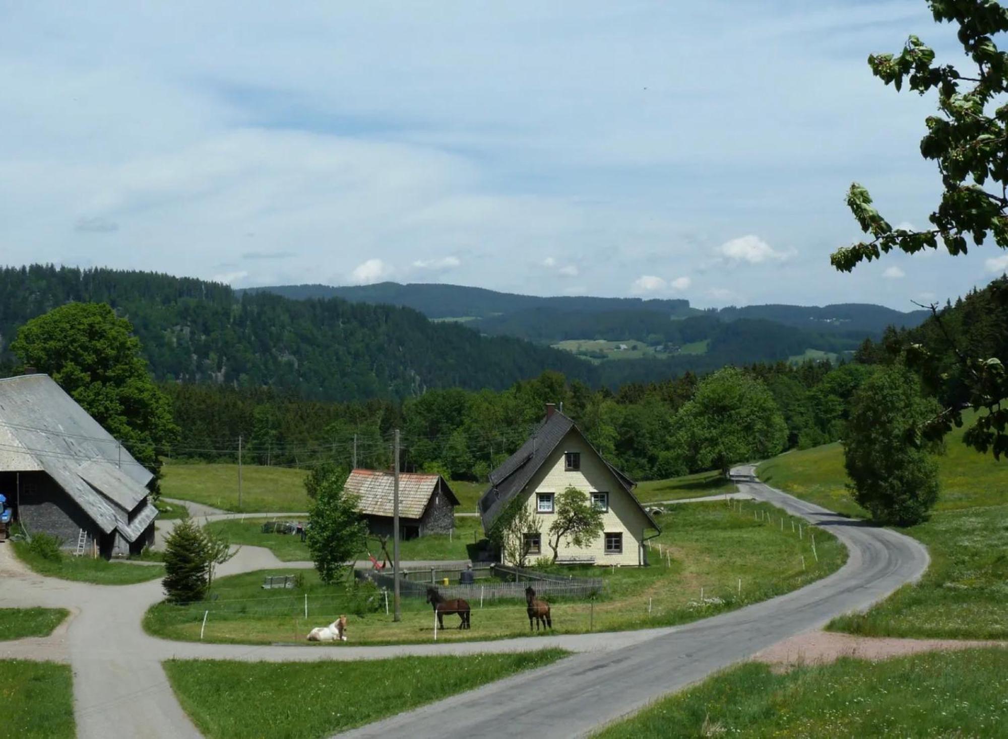 Ferienhaus Esche Hinterzarten Buitenkant foto